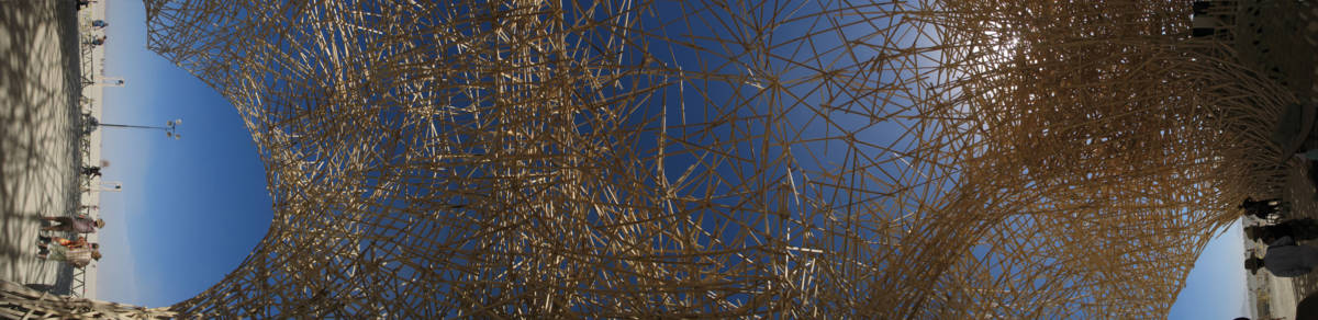 Panorama: Euchronia from within