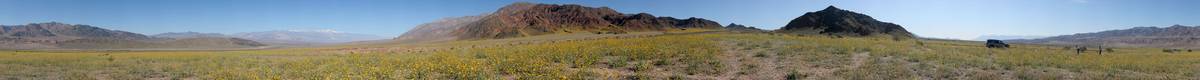 Panorama: Death Valley entrance