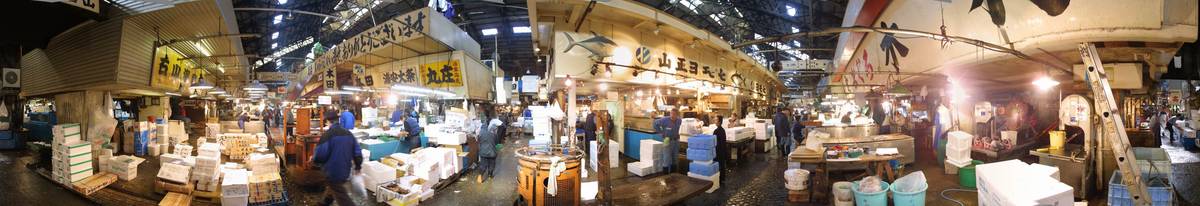 Panorama: Inside Tsukiji Fish Market, Tokyo