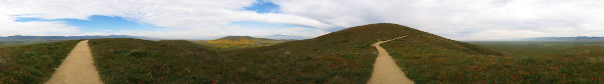 Panorama: 360 view of early poppies in Antelope Valley Reserve
