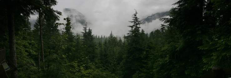 Panorama: Mists in the Washington Cascades