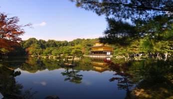 Panorama: The Golden Pavilion of Kyoto