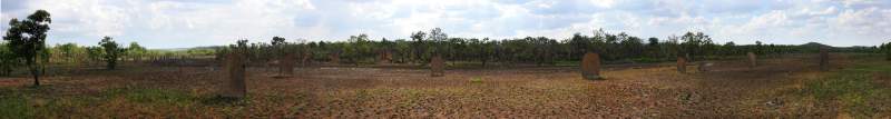 Panorama: Magnetic Termite Mounds, Litchfield Park, Australia