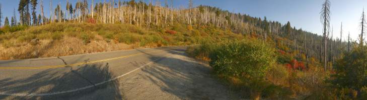 Panorama: After a fire in Yosemite