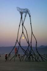 The cat beast, known as Flock, one of the most striking sculptures, with the moon rising behind it
