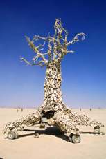 The perennial bone tree.
