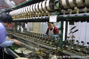 They spin up the silk in the tourist trap silk factory.
