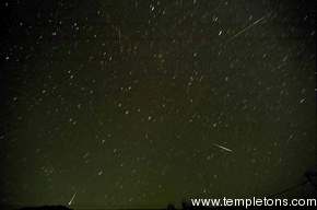 11 Leonids, several long and bright, swarm from Leo