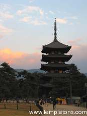 The five-storey pagoda of Kofuku-ji, part of the world heritage site.
