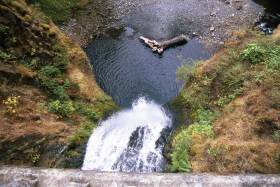 From the bridge over Multnomah falls, looking down at lower falls
