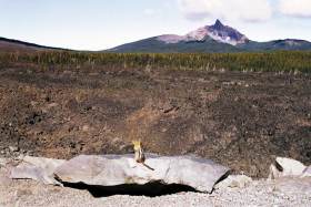A chipmunk observes the devastation of lava flows from nearby volcanos.  Along highway 242 W. of Sisters.
