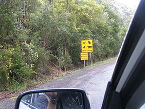 Kangaroo crossing signs really aren't just for the tourist shops.  This sign had them all