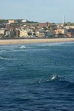 Lots of not very good surfers at Bondi, in spite of it being the off season