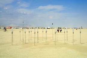 Field of Lanterns in the desert