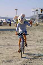 Guy in a rabbit head rides by.  What else can you say?  Something like this rides by you every minute at Black Rock City