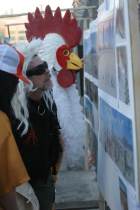 A rooster examines the panorama wall closely