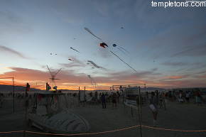 Or other neighbours, DOTA, were out every sunset with a great array of kites 