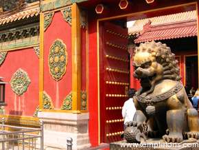 Griffins of the forbidden city
