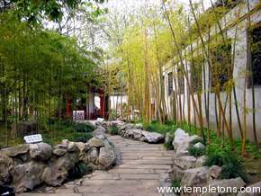 Bamboo garden
