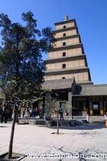 Wild Goose Pagoda
