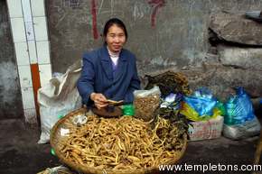 She seems happy to sell me some of these roots
