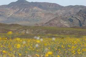 Yellow plains, green hills and Technicolor mountains