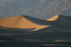 Lonely dunes