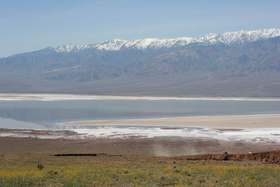 Panamint mountains reflected in Lake Badwater, with flowers