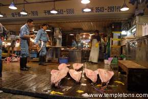 Workers inspect fish laid out on the floor