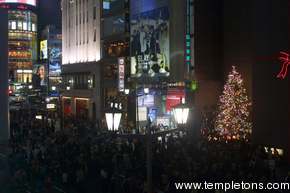 The tree with various patterns of blinking lights (attracting a strangely large crowd) and the round San'ai building that is the landmark of Ginza