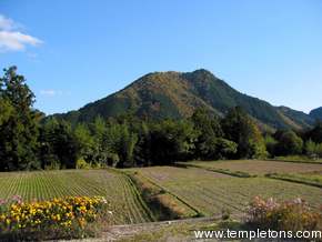 Beautiful mountainscapes in Mie