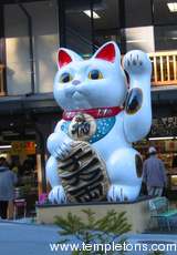 Lucky Cat is everywhere in Japan.  This was one of the largest
