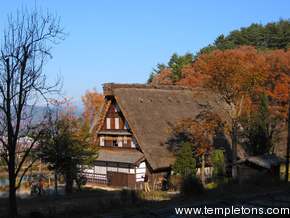 The trees, the folk houses, the mountains, the Persimmons