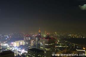 View from the Tokyo city government building, alas on a hazy night.