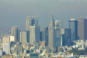 Shinjuku, the business center of Tokyo.  That's the Tokyo Metro building on the left with the twin towers