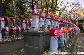 In Zojo-ji temple, thousands of tiny statues of babies represent real children who were lost.  The mothers sometimes come to tend them
