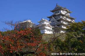 Another view of Himeji.  This one you can climb inside.  A woman at the gate offered free tours in English.  We met up with some other people from San Francisco who do Thanksgiving Tourism (it's cheap) and took the tour.