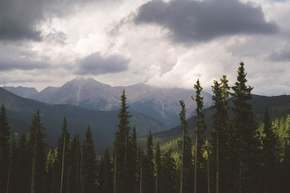 Trees, storms and mountains