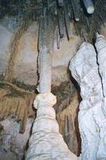 A column in Lehman caves